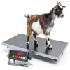 PEC Scales MS-700AS Floor Scale 700lb Capacity Backlit LED Display-1