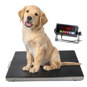 PEC Scales Industrial Floor Scale 700lb Capacity 44x22x2 Alloy Steel-0