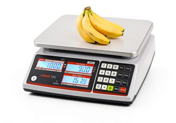 VisionTechShop Bench Scale 12lb Stainless Steel TVP-12LB-DLP-50-9