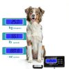 DBHJZLAB Livestock Scale PCR-3115 500kg Stainless Steel Platform-3
