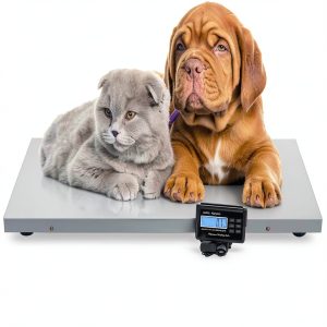 AYCHLG Industrial Floor Scale 300kg/150kg Dual Range LCD Digital Scale-0