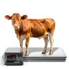 Aoliu 5000lb Industrial Floor Scale with Stainless Steel Load Cell-3