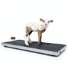 PEC Scales MS-700AS Floor Scale 700lb Capacity Backlit LED Display-0