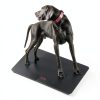 Helsevesen Pet Floor Scale 220lb Black PS-220XL with LCD Display-1