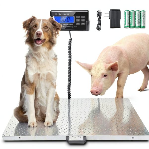 DBHJZLAB Livestock Scale PCR-3115 500kg Stainless Steel Platform-0